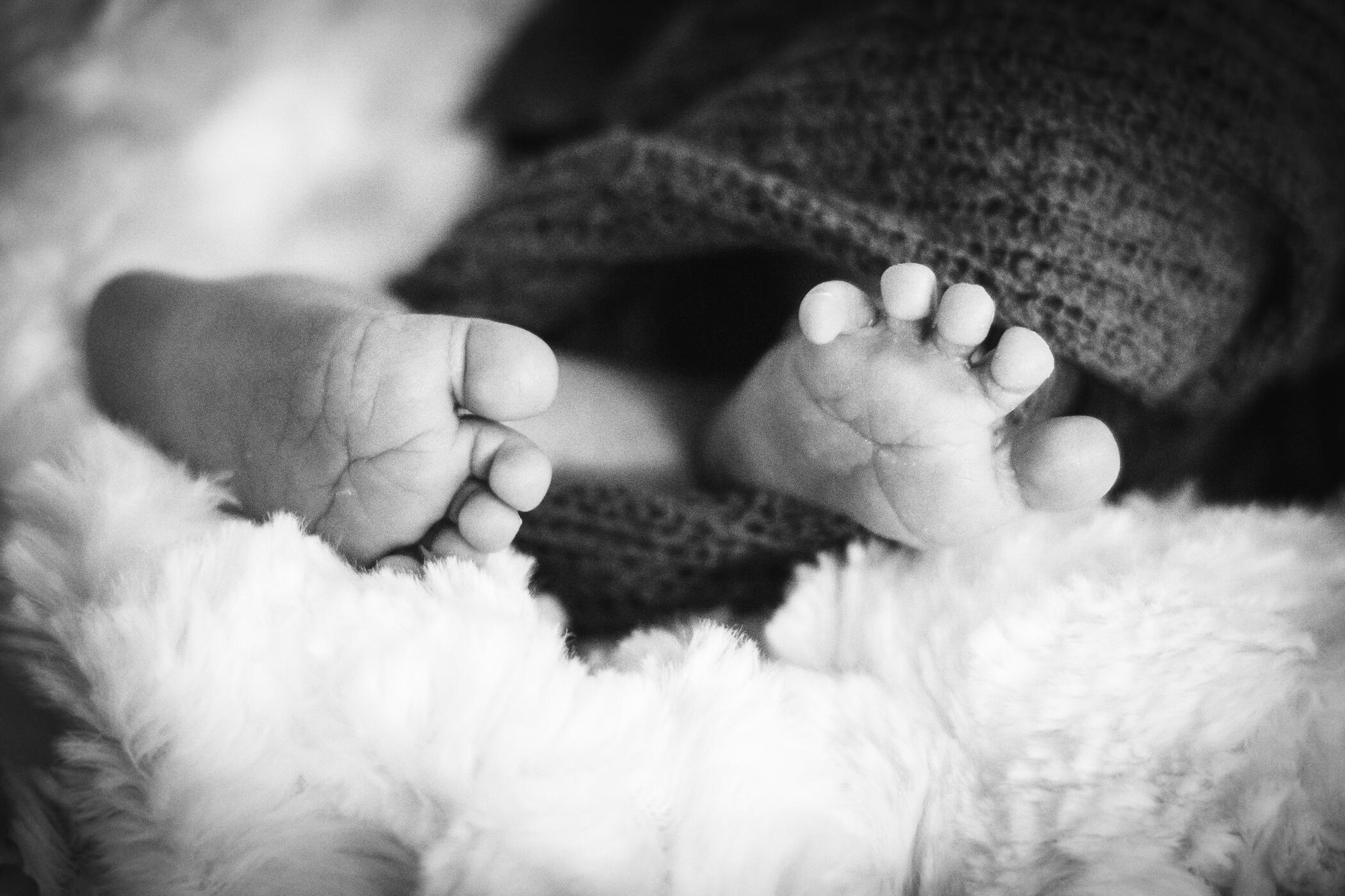 LMF Digital LMF Digital